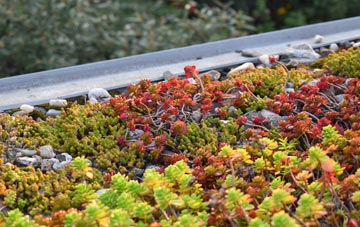 the cost of Cheglinch green roof installation