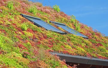 Cheglinch living roof systems